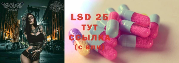 ПСИЛОЦИБИНОВЫЕ ГРИБЫ Няндома