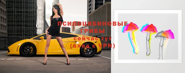 ПСИЛОЦИБИНОВЫЕ ГРИБЫ Няндома