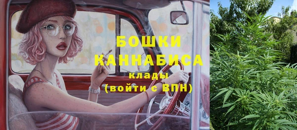 ПСИЛОЦИБИНОВЫЕ ГРИБЫ Няндома