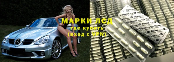 ПСИЛОЦИБИНОВЫЕ ГРИБЫ Няндома