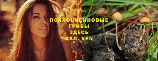 герыч Нягань