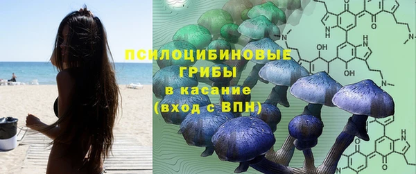 ПСИЛОЦИБИНОВЫЕ ГРИБЫ Няндома