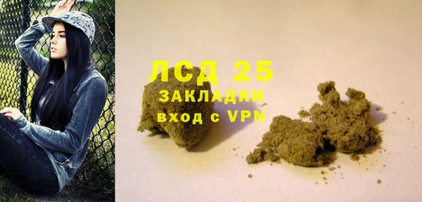 ПСИЛОЦИБИНОВЫЕ ГРИБЫ Няндома