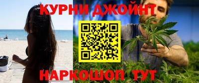 шишки Будённовск