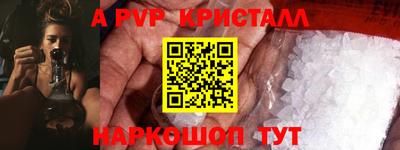 шишки Будённовск