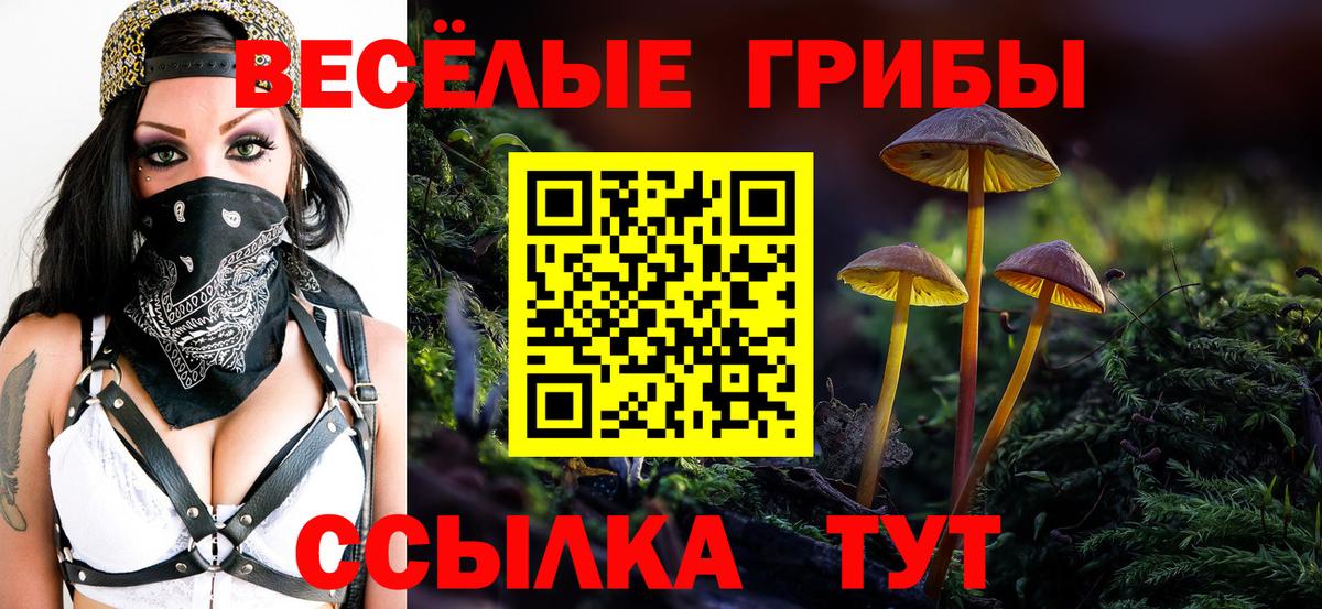 Коряжма  Псилоцибиновые грибы мицелий  Галлюциногенные грибы Psilocybe  Вход с VPN 