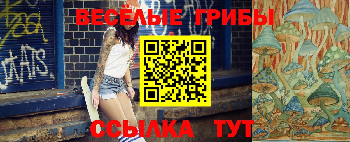 Псилоцибиновые грибы мухоморы  наркотики  Коряжма 