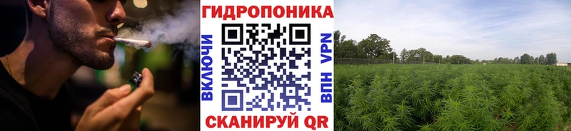 где продают   Коряжма  Конопля THC 21% 